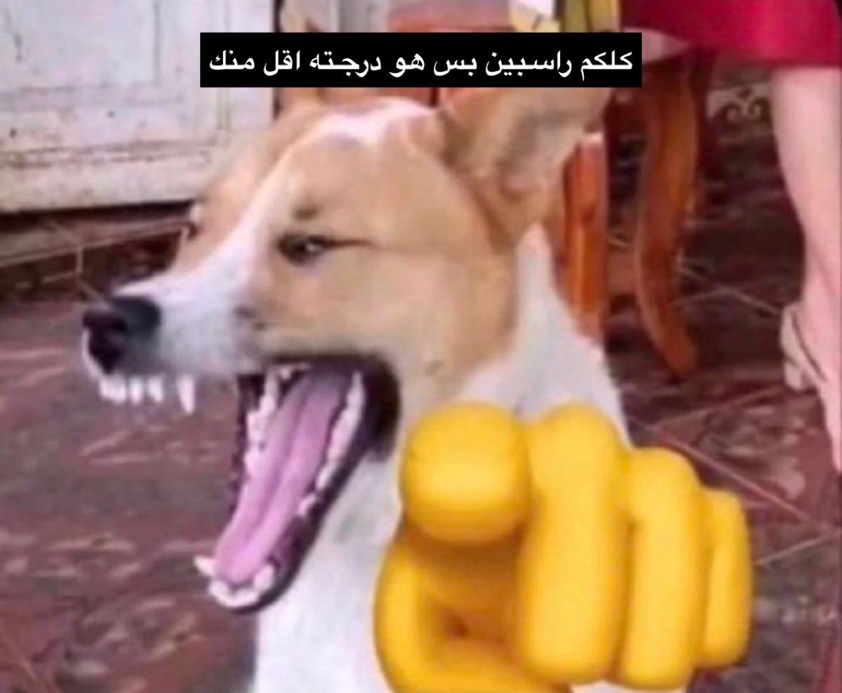 هاني tweet media