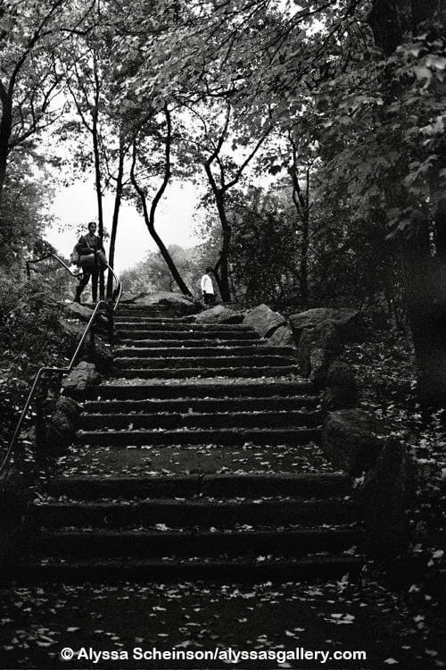 Autumn in Central Park.