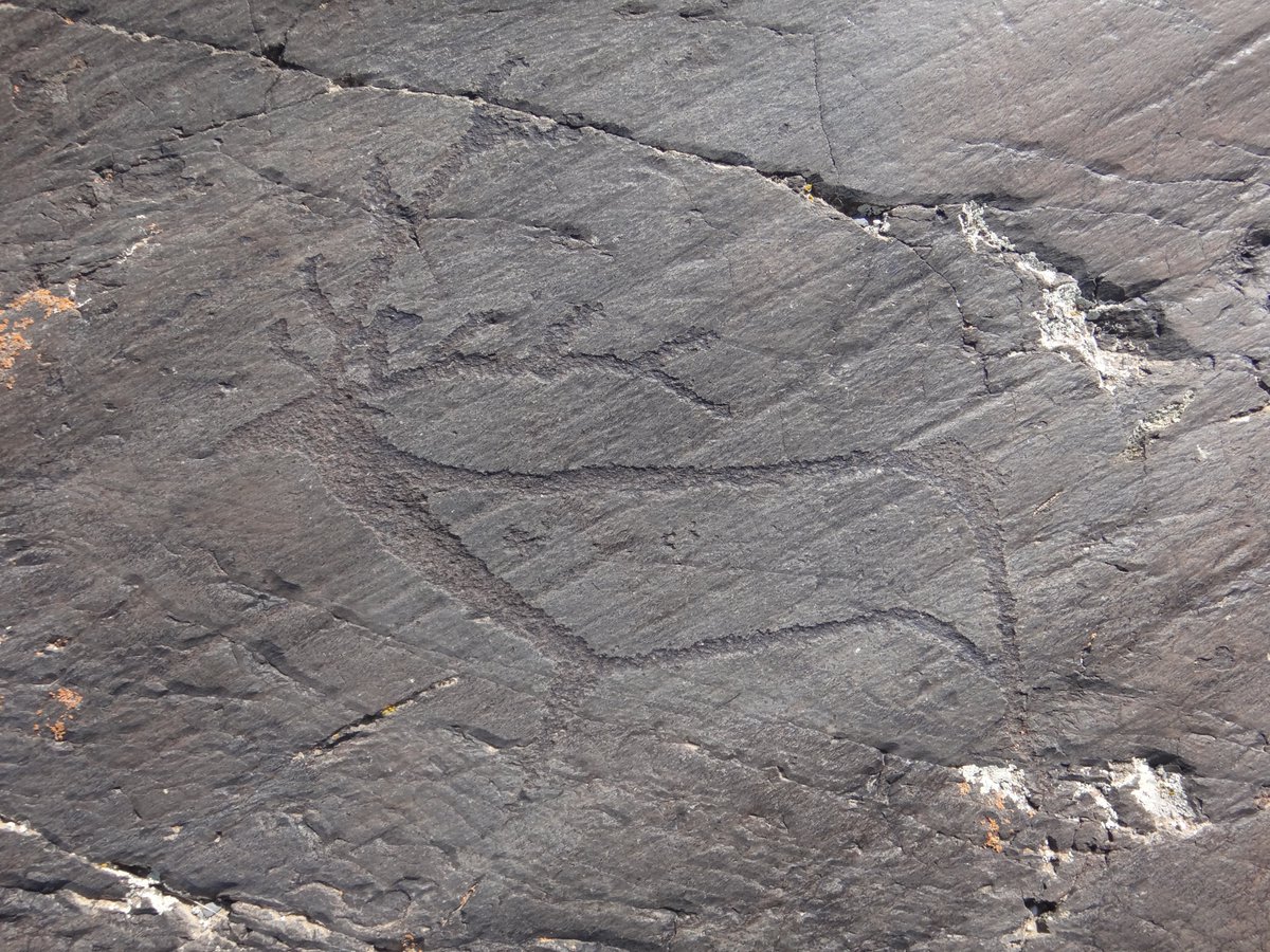 Монголын хадны зургийн дурсгал дотор чулуун зэвсгийн үеийн зургууд цөөн хэдий ч төаралддаг. Түүний нэг бол энэ бугын зураг юм.