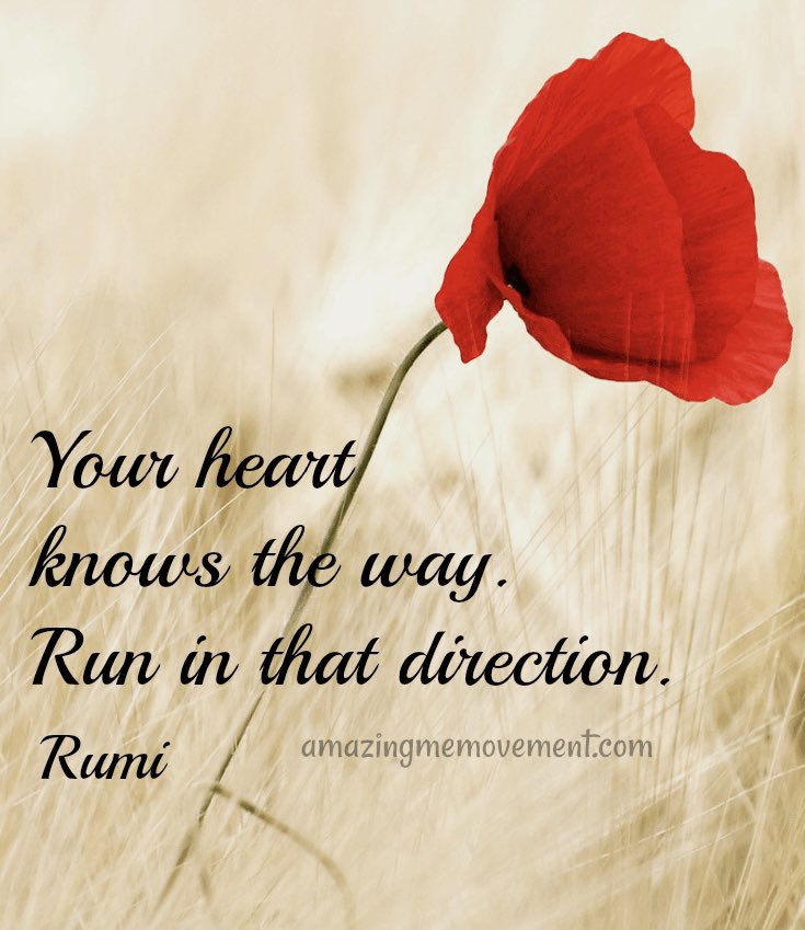 Meningioma Host tweet media