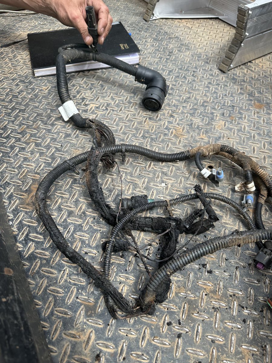 Got a bit lucky last night