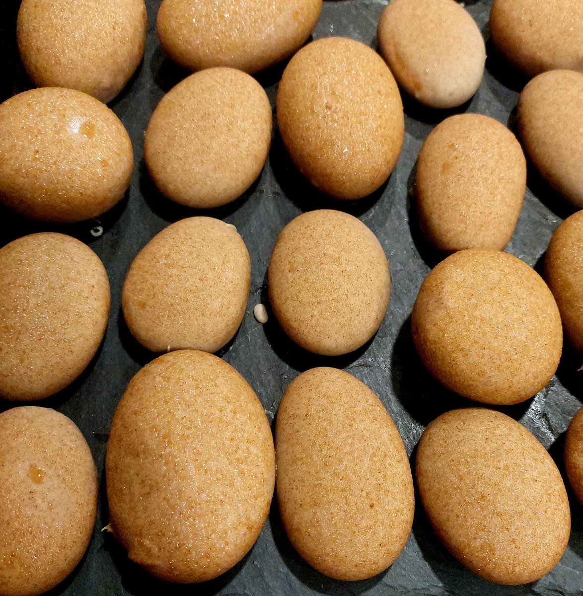 mavie_mychoice's tweet photo. 1 egg/person 😉
1 trái cho 1 người là bao no các bác nhé
#cookbyheart https://t.co/QuCpIHihyG