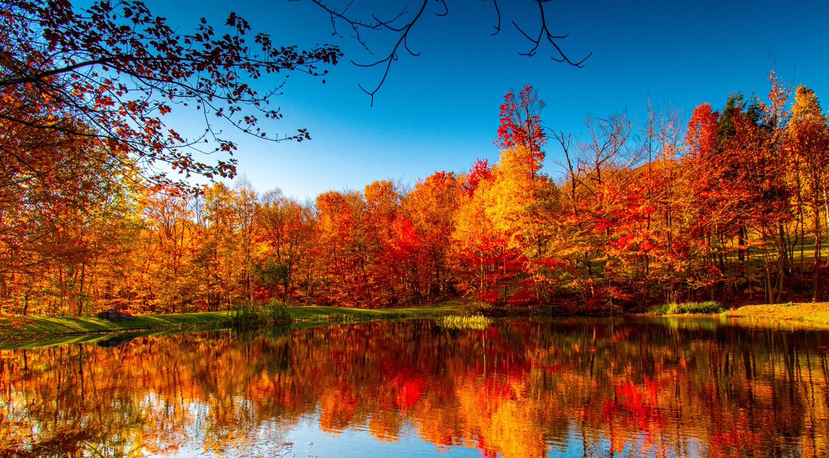 BuieBedi12's tweet image. Winding road home 🏡 it’s raining on and off but #Fall2023 colors are still at fire. So beautiful.