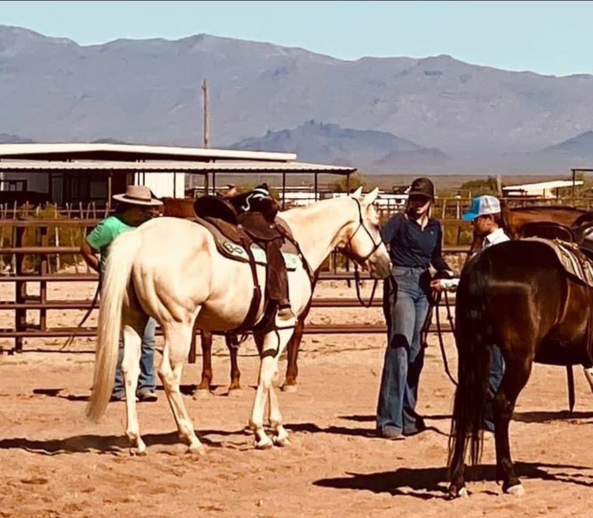 𝑨𝒎𝒊𝒂𝒉 tweet media