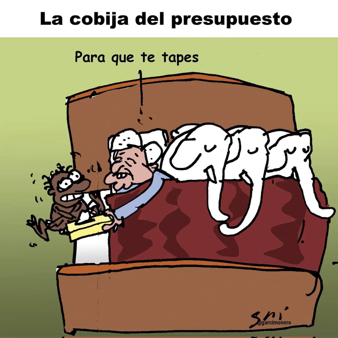 PatNN tweet media