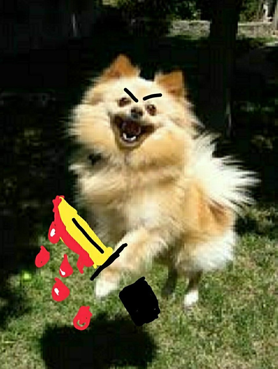 <a href="/CherieDamour_/">Sherry 🍁</a> <a href="/Partisangirl/">Syrian Girl</a> This video, created in 1060 by the renown videographer Æthelred the Unready as a gift to Sweyn Forkbeard upon his wedding to Snorri Sturluson.

Best man, Guðný Böðvarsdóttir had requested "Aye reviefing of thæ gedtivtoons".
Canute the Gnat and Lenny the Bruce of Hornsby attended.