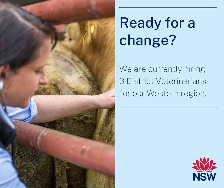 Vet Opportunity in Western NSW!  

🌟 Roles: 3 District Vets for our Western region.  
💼 Perks: Great conditions, competitive salaries, flexibility, and growth opportunities.

Apply 👉 brnw.ch/21wEpKu