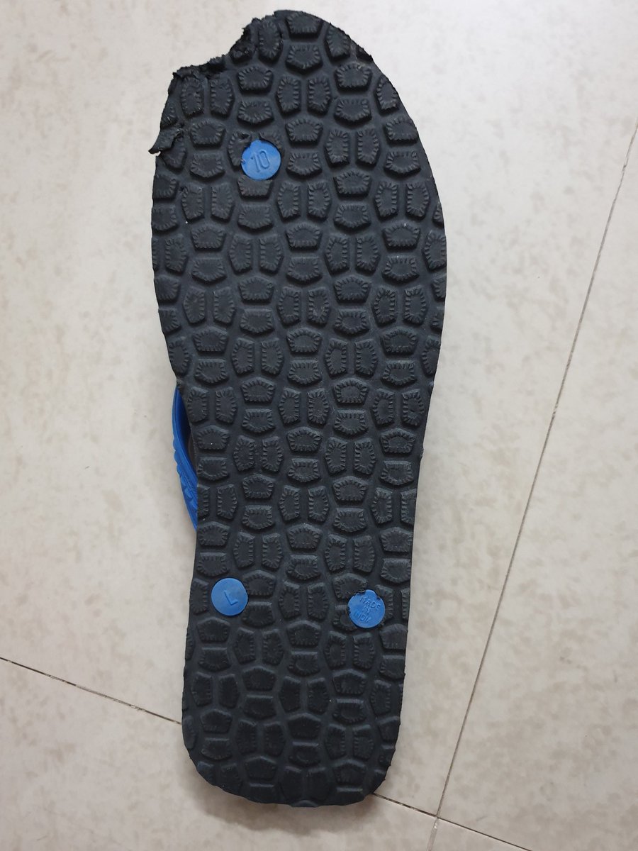 shubhrata_p's tweet photo. Steve Jobs would have been proud of this inventor of iChappal. No regrets on the countenance of Puffles Prakash, the inventor, who says, "no sweat!" 😅🐾
#dogsoftwitter #dogsofX #LabradorLife #Puffles https://t.co/YykYHxaKE4