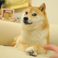 FranchR95958's tweet photo. I use realistic dildos and my fuck machine https://t.co/xLH2SsaQEn