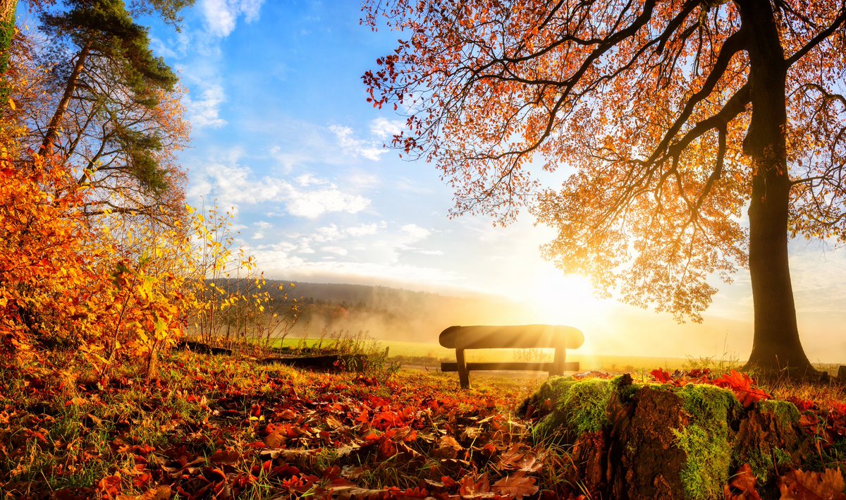 A_AMilne's tweet photo. "How immensely important to us are those things in our life that are stable and unchanging. So much of our world is in motion. How welcome are the bits that stand still." ~C.R. Milne #stability #tuesdaymotivations https://t.co/i1szUDXL5L