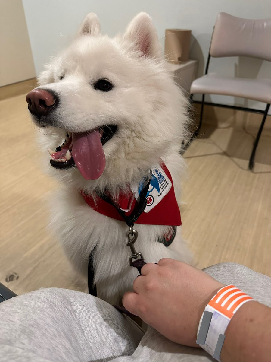 PredictableNOVA's tweet image. I hope to be of good example, but please listen to yourself when you feel something’s not right health wise. If I hadn’t walked into the hospital ER tonight, who knows what might of happened. PTSD and Anxiety is no joke if untreated right.