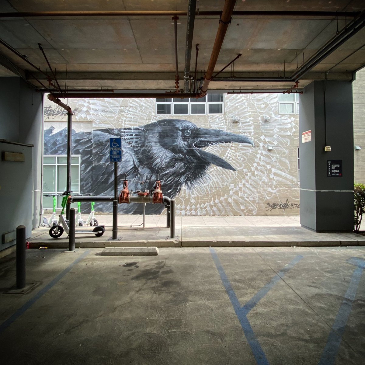 TheGraffHunter's tweet photo. Carlos Torres x Mayonaize x Joey Zazueta
#mapleway #longbeach https://t.co/DtKxEQNnEJ