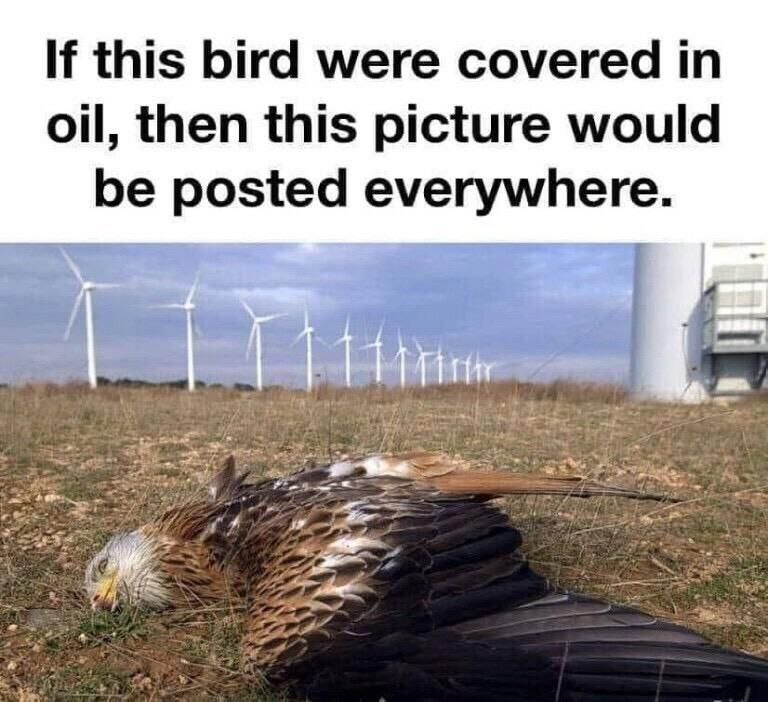 nice2nature's tweet photo. #windpower #stopwindfarms #nature https://t.co/tbQfyPh9c0