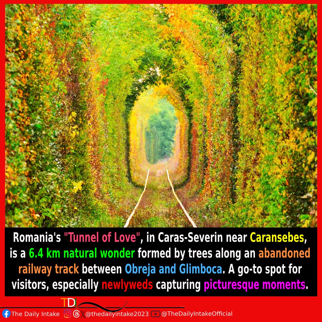 Whispers of wonder in Caras-Severin's 'Tunnel of Love'—where each step is a dance with curiosity and enchantment. 🌳✨ #TunnelOfLove #RomanianAdventure #HiddenGem #NatureMagic #WanderlustDreams #DiscoverEnchantment