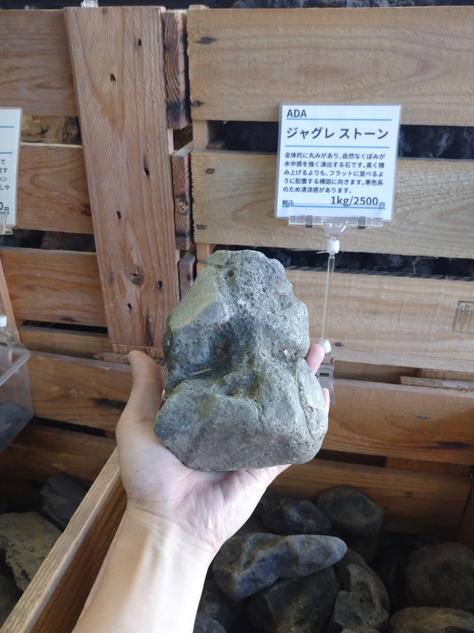 ジャグレストーン 8kg ada dooa ジャグレストーン 8kg ada dooa