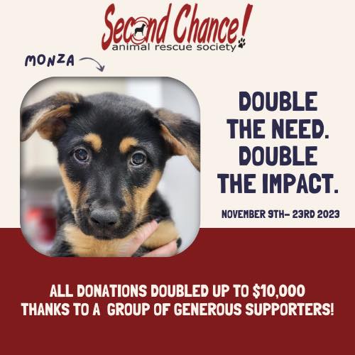 SCARS_Alberta's tweet photo. To double your donation, visit: https://t.co/eQdWnWfqyD to make an impact today!
P.S. Donβt forget to check out Adoptable Monza!! πΆ
https://t.co/sntHleePrQ
#secondchanceanimalrescue #scars #animalwelfare #donatetorescue #yegadoptables #yegrescue #supportyourlocalrescue https://t.co/3czOBxxRzT