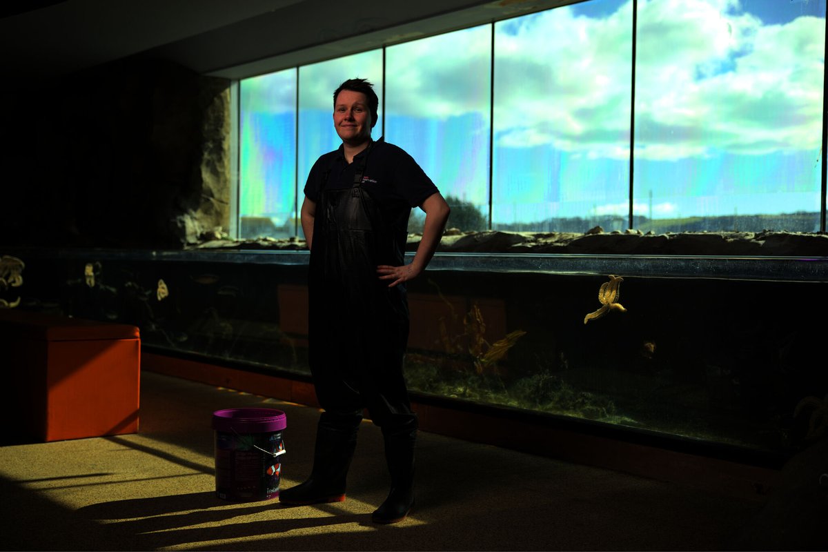National Marine Aquarium tweet media