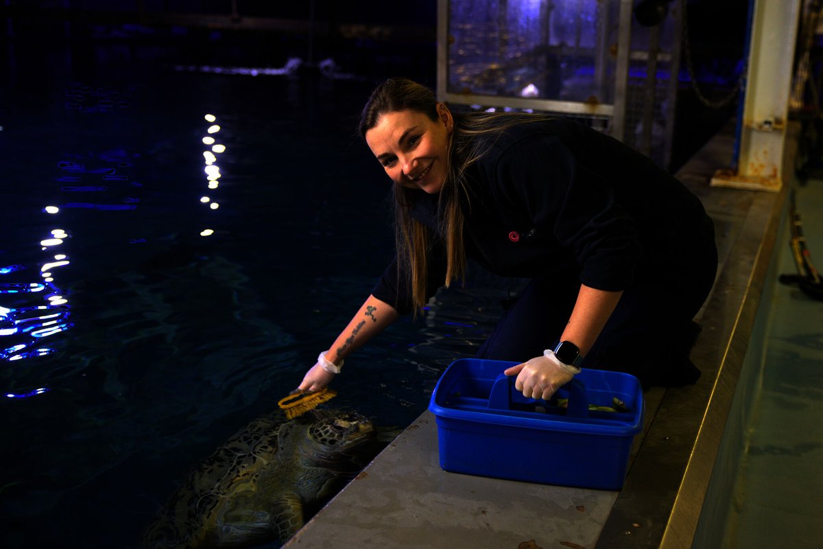 National Marine Aquarium tweet media