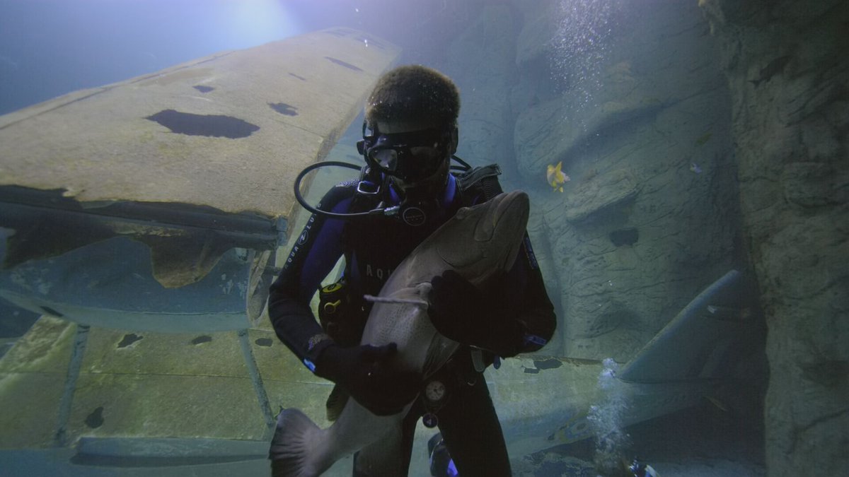 National Marine Aquarium tweet media