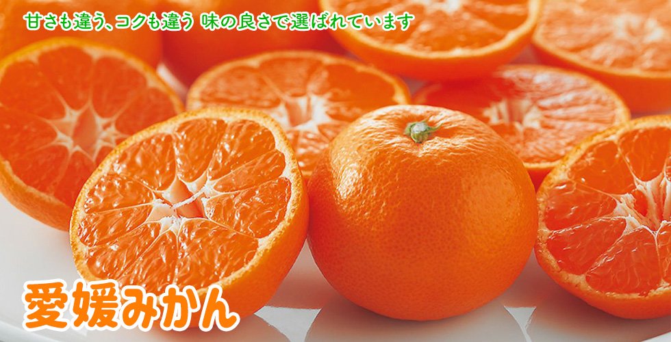 今日は月に１度の #いちごの日🍓
冬の果物といえばみかんも忘れちゃいけないですね🍊
冬本番になってみかん達も本気の甘さになってきてますよ🤭
美味しいみかんはこちらから購入出来ます↓
【<a href="/nomakajuen/">みかんのことなら「のま果樹園」</a>】
kajuen.co.jp/mikanshop/

#企業公式冬のフォロー祭り 
#企業公式つぶやき部