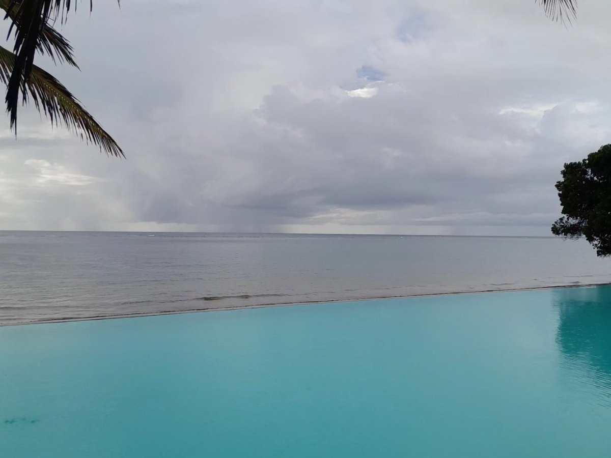 Your Passport to Unforgettable Moments: Escape the ordinary and embrace the extraordinary with Bush and Beach Africa Travel and Tours. 🌐🌴 From thrilling safaris to idyllic beach getaways, our curated experiences promise to elevate your travel aspirations.