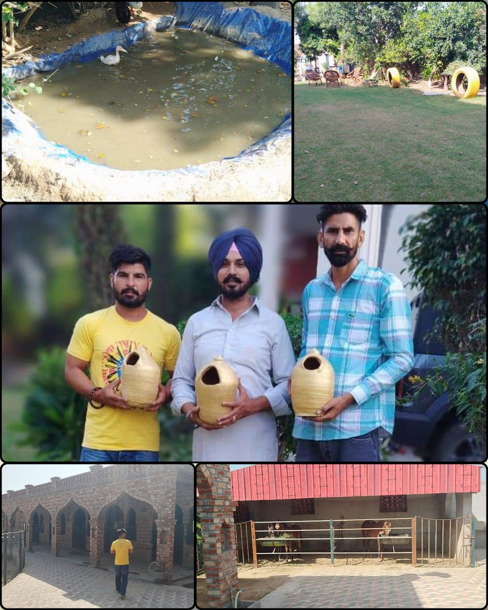 ਸੁਸਾਇਟੀ ਤੋਂ ਵੀਰ Rambo ਤੇ Surinder ਨੇ ਵਾਤਾਵਰਨ ਪ੍ਰੇਮੀ ਡਾ Gurpreet Kaur Dhindsa ਤੇ ਵੀਰ ਰੌਕੀ ਢੀਂਡਸਾ ਹੁਰਾਂ ਦੇ ਹਰੇ ਭਰੇ ਆਸ਼ਿਆਨੇ ਦਾ ਆਨੰਦ ਮਾਣਿਆ। ਉਸ ਖੂਬਸੂਰਤ ਮਾਹੌਲ ਨੂੰ ਹੋਰ ਰਮਣੀਕ ਬਣਾਉਣ ਲਈ ਸੁਸਾਇਟੀ ਵੱਲੋਂ ਉਨ੍ਹਾਂ ਨੂੰ ਪੰਛੀ ਬਚਾਓ ਫ਼ਰਜ਼ ਨਿਭਾਓ ਮੁਹਿੰਮ ਤਹਿਤ ਮਿੱਟੀ ਅਤੇ ਲੱਕੜ ਦੇ ਮਸਨੂਈ ਟਿਕਾਣੇ ਭੇਂਟ ਕੀਤੇ ਗਏ।