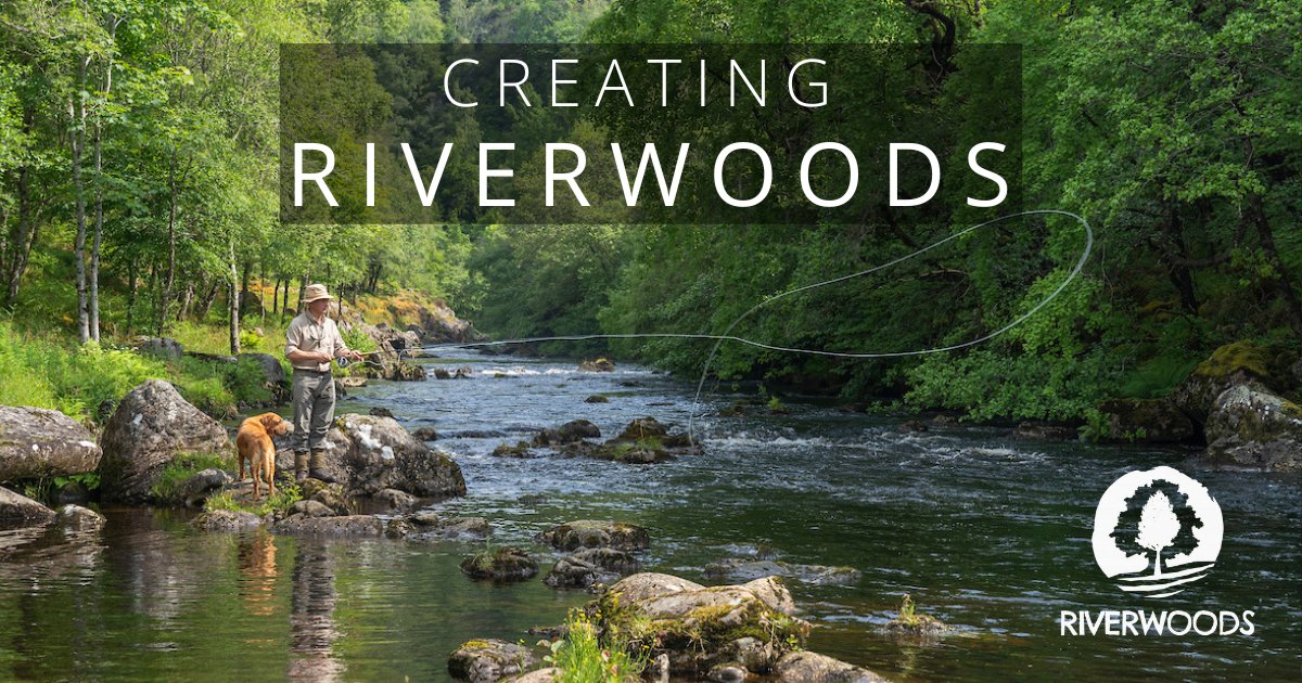 Salmon are disappearing from Scotland's rivers. We need to act fast. Creating Riverwoods is a new collection of short films and stories showcasing the work of landowners, gamekeepers and fisheries experts, all committed to reversing this trend: bit.ly/3QvwFNk