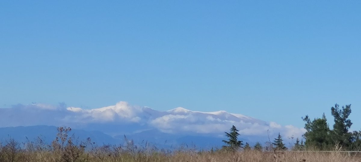 PlantEnvBio tweet media