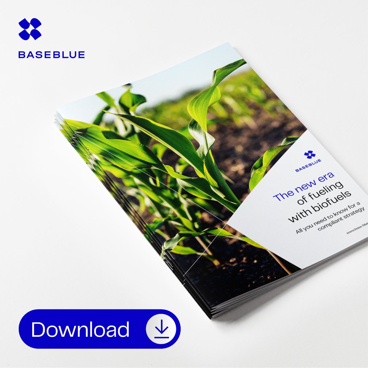 Baseblue is thrilled to introduce a resource to assist you in navigating the future: our Biofuel Booklet!
Download the Biofuel Booklet today: lnkd.in/dYhFFi2v

#Biofuels #BunkeringIndustry #Baseblue #GreenEnergy #RenewableResources