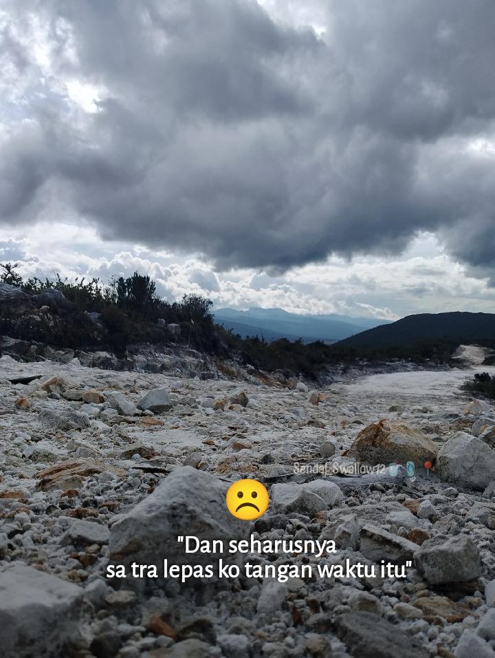 12SendalSwallow's tweet photo. https://t.co/MPPXLTRnFa