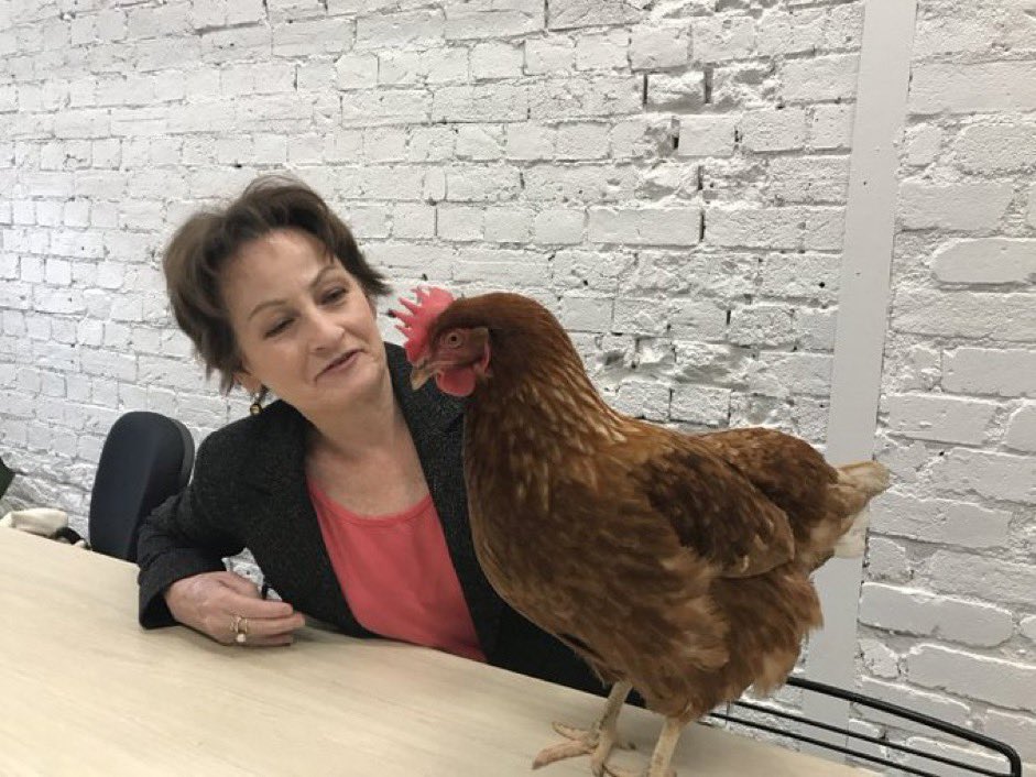 Congratulations to Glenys Oogjes, the 2024 Senior Australian of the Year for Victoria nominee! A deserving winner. A tireless advocate for animals. 🌟🇦🇺 #ausoftheyear