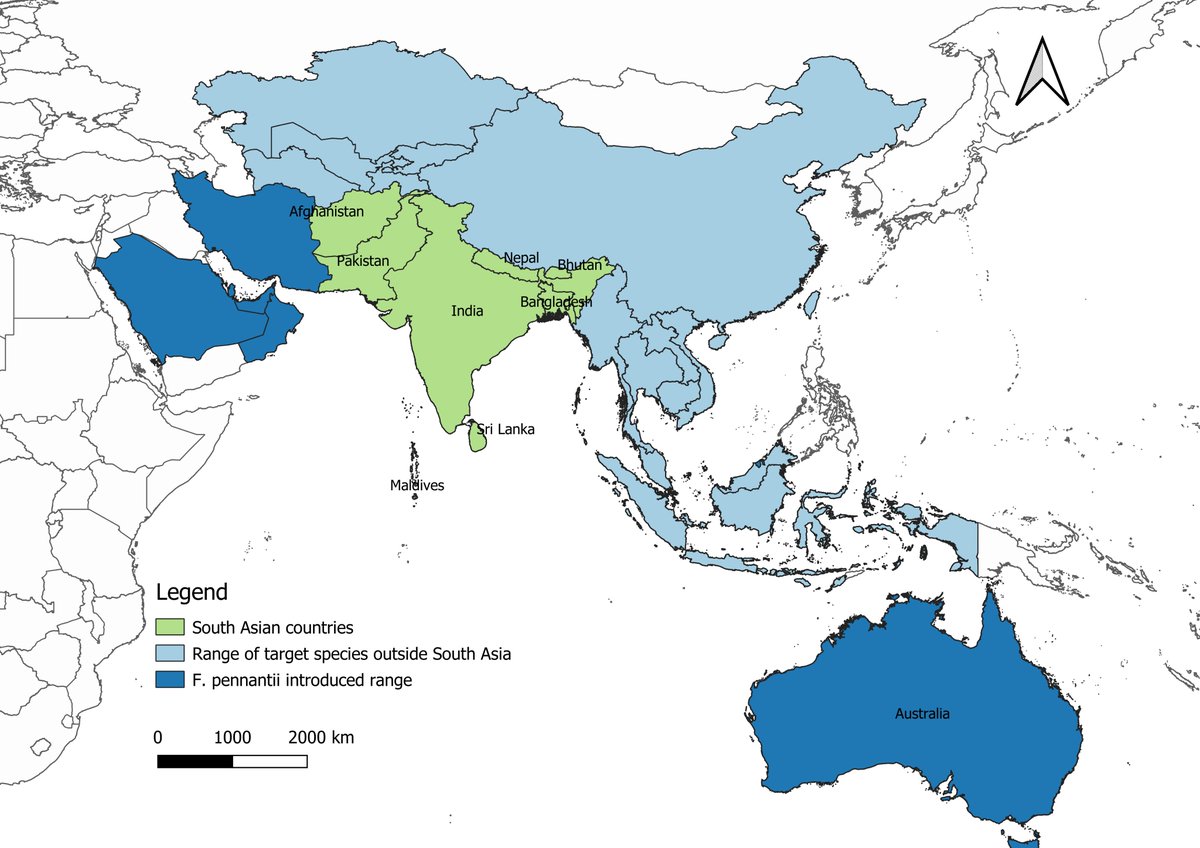 There are 34 #squirrel species in the South Asian region, including tree, flying and ground #squirrels. The Squirrels of South Asia (SOSA) database offers comprehensive, up-to-date data on their distribution and occurrence: doi.org/10.3897/BDJ.11…