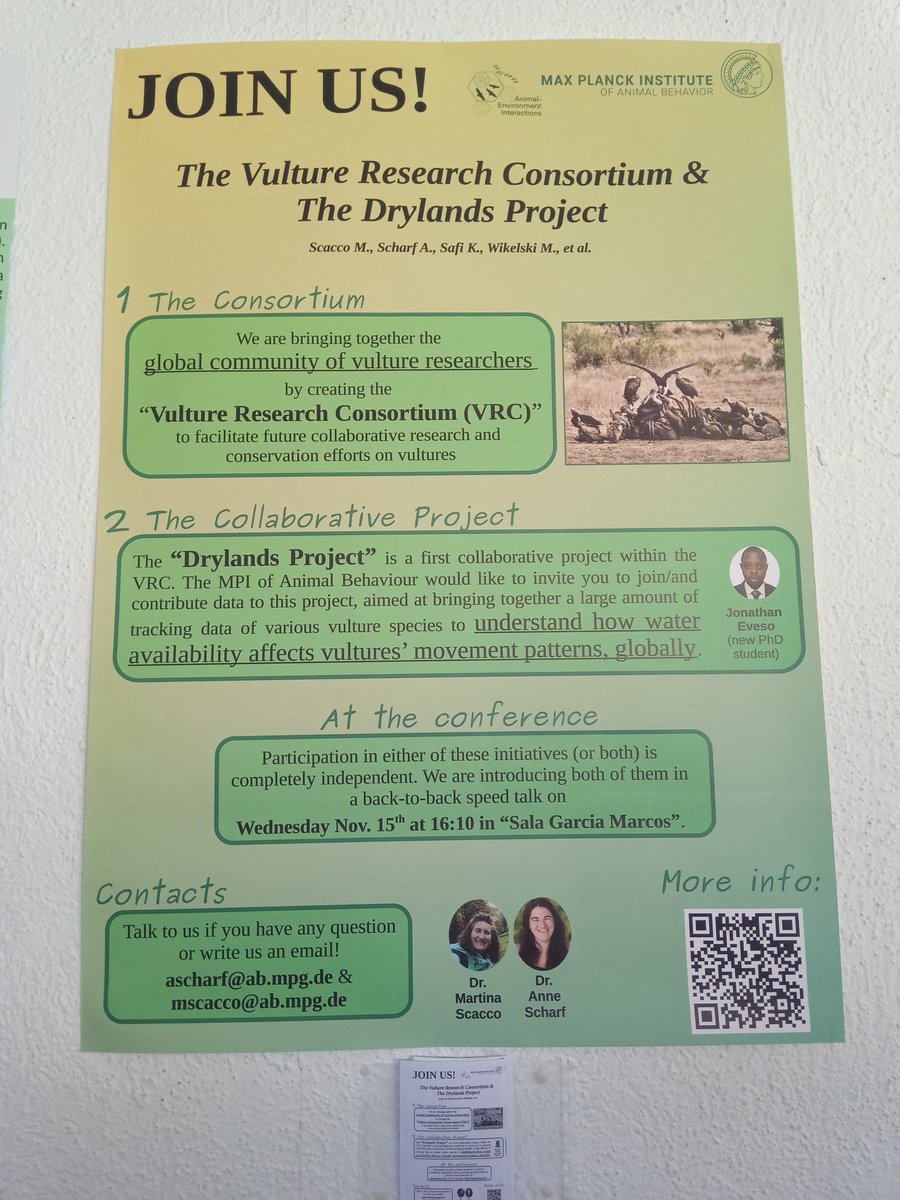 Martina Scacco now on @mscacco.bsky.social (@scaccomartina) on Twitter photo Excited to be at the European Vulture Conference with <a href="/AnneKScharf/">Anne Scharf</a> and present our initiatives!
#vultures2023 <a href="/4Vultures/">Vulture Conservation Foundation</a> <a href="/safilabmpi/">Safi_Lab @safilabmpi</a> <a href="/MPI_animalbehav/">MPI-AB is on Bluesky @mpi-animalbehav.bsky.social</a> Excited to be at the European Vulture Conference with <a href="/AnneKScharf/">Anne Scharf</a> and present our initiatives!
#vultures2023 <a href="/4Vultures/">Vulture Conservation Foundation</a> <a href="/safilabmpi/">Safi_Lab @safilabmpi</a> <a href="/MPI_animalbehav/">MPI-AB is on Bluesky @mpi-animalbehav.bsky.social</a>