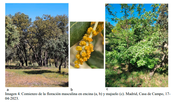 ame_asociacion's tweet photo. #AMEBlog
Informe agrometeorológico y fenológico de la primavera 2023 elaborado por #AEMET
La primavera fue la más cálida y la segunda más seca ocasionando graves problemas en el campo y la actividad agraria.
https://t.co/7St459mzIN https://t.co/oYcFxMU08w