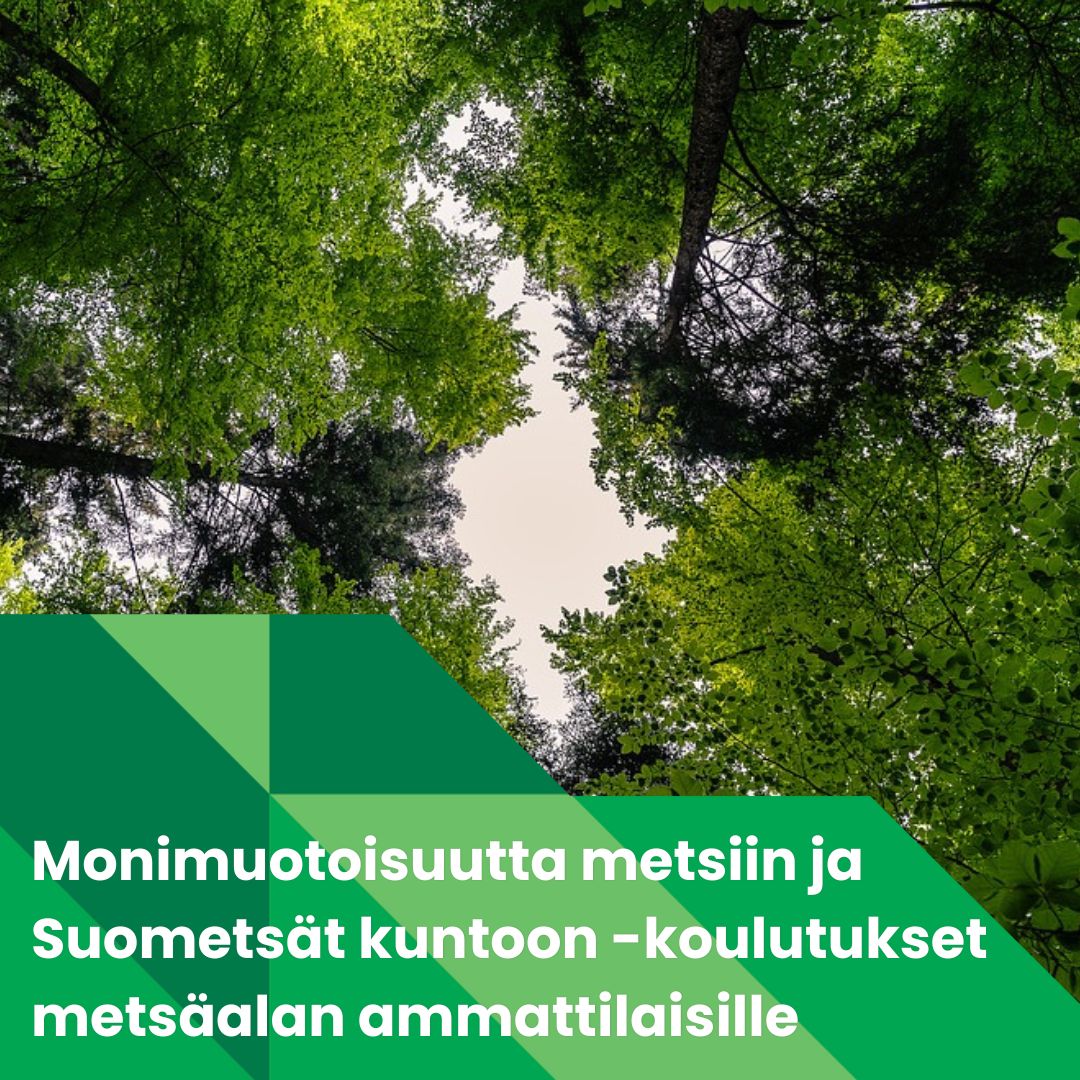 Päivitä metsäalan osaamistasi maksuttomissa Suometsät kuntoon ja Monimuotoisuutta metsiin -koulutuksissa. Koulutuksia toteuttavat yhdessä huippukouluttajat @TAPIOForestry @Karelia_amk @LapinAMK @TAMK_UAS Koulutukset rahoittaa @JotpaFi Hae mukaan! karelia.fi/taydennyskoulu…