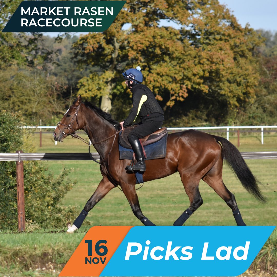 OldGoldRacing's tweet photo. Picks Lad has been declared to run @MarketRasenRace on November 16th in the 13:40 Daily Charged Up Offers Rhino Bet Novices' Handicap Chase over 3m.
Paul OβBrien takes the ride for @OLBG and Owners. π
#offracing #seasonaldebut #olbgracing #harryderham #oldgoldracing #ownapieceoftheaction #getyourheartracing
