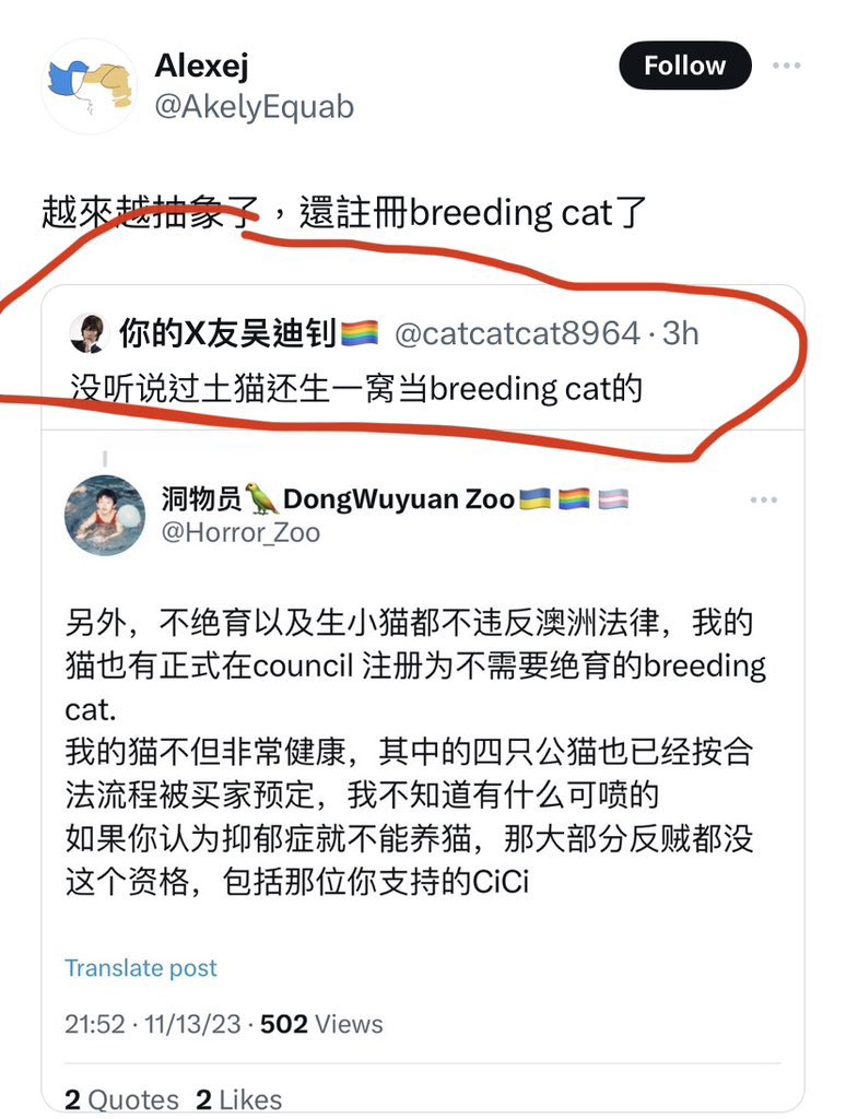 上下文都在这，不用狡辩了……
而且我的猫身体有啥问题？我不知道你知道？我早带去Vet检查了，非常健康😂