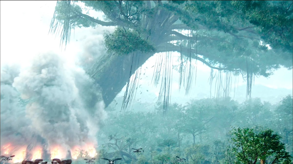 netelvr's tweet photo. What if..? #avatar #hometree #awaatlu https://t.co/H7GLszGHKE