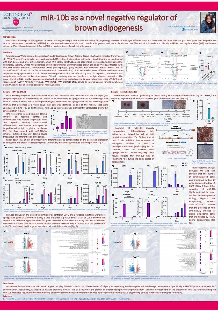 NKalenderoglou's tweet photo. Come and find out how to micRo_manage BAT! Representing Mark Christian's lab at #SFEBES2023 conference. @NTUSciTech @ntu_research @NTUBIOSCIENCES @trentuni #ntu #Endocrinology #mirna #obesity #adipose https://t.co/XWx8PGcd5x