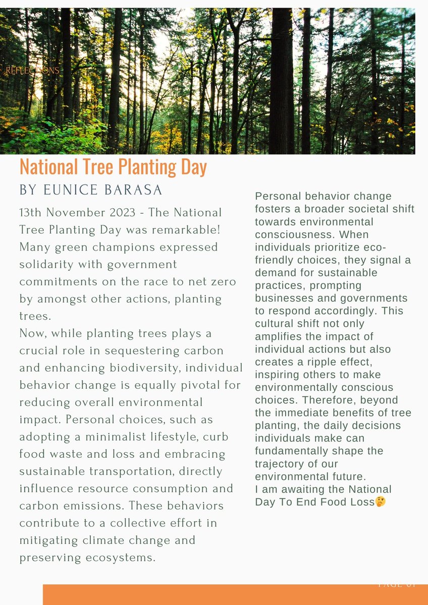 Done planting trees, what next?