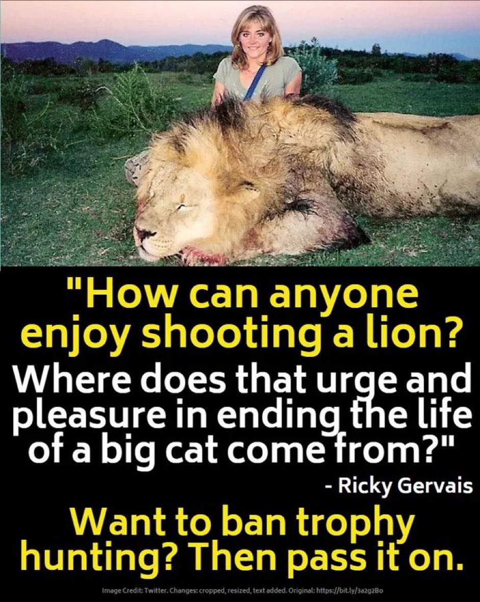 fb_provGLD's tweet image. 🦁📯@rickygervais