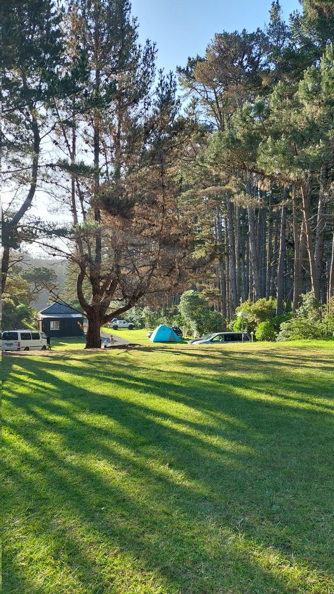 TourExotico's tweet photo. Beautiful place for camping 🏕  The #summer season starts in #NewZealand and the early #sunny days are perfect for not busy campsites🌅 https://t.co/tLcxzNcKGt