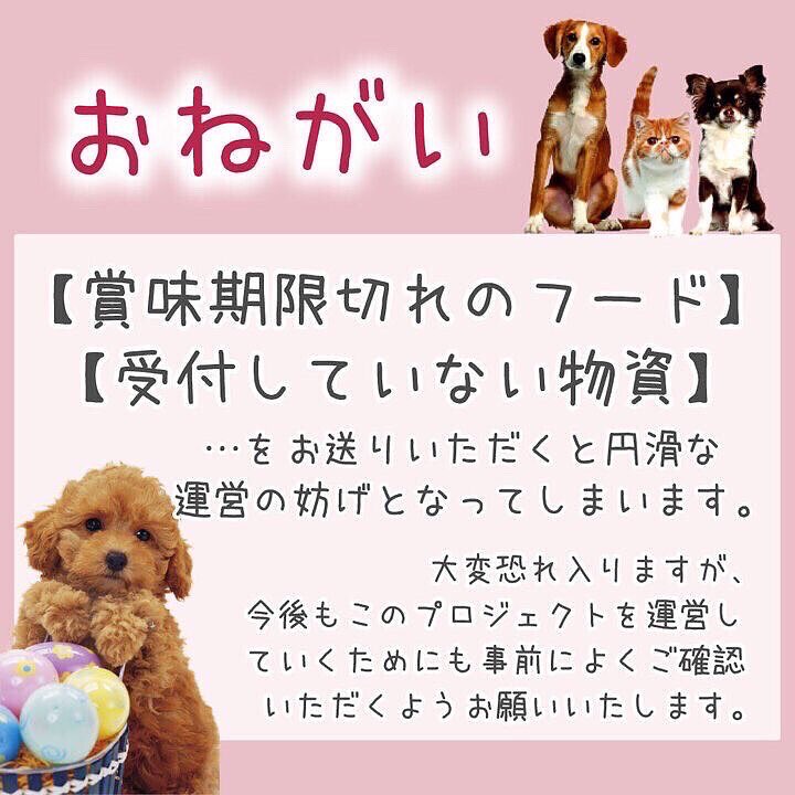 BatonDearpet's tweet photo. たくさんの支援物資がディアペット埼玉店に届きました🐕🐈…🌈 たくさんの支援物資がディアペット埼玉店に届きました🐕🐈…🌈@KeitanChocotanさま🐶お気持ちをたくさんありがとうございます。その他の物資受取報告はInstagramでおこなっていますhttps://t.co/VVS2KVmj01 https://t.co/Con61nHTBV