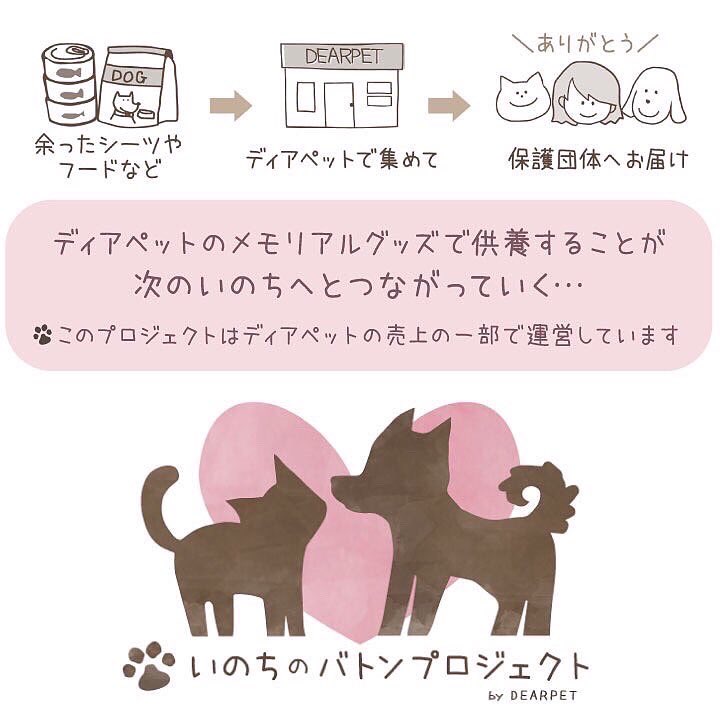 BatonDearpet's tweet photo. たくさんの支援物資がディアペット埼玉店に届きました🐕🐈…🌈 たくさんの支援物資がディアペット埼玉店に届きました🐕🐈…🌈@KeitanChocotanさま🐶お気持ちをたくさんありがとうございます。その他の物資受取報告はInstagramでおこなっていますhttps://t.co/VVS2KVmj01 https://t.co/Con61nHTBV