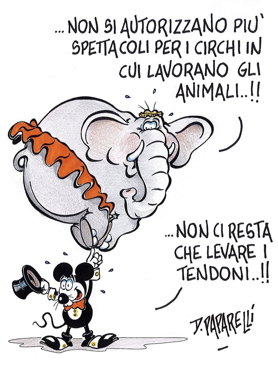 danilopaparelli's tweet image. Sono molti i paesi europei in cui è #vietato lo #sfruttamento degli #animali nel #circo