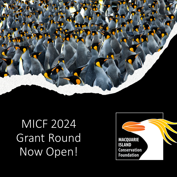 We are very excited to launch our first grant round! MICF grants are available to support projects targeted at the conservation of Macquarie Island. Applications close December 18th at 5pm AEDT. More details can be found here: macquarieisland.org/grant-round-20… #macquarieisland #grantround