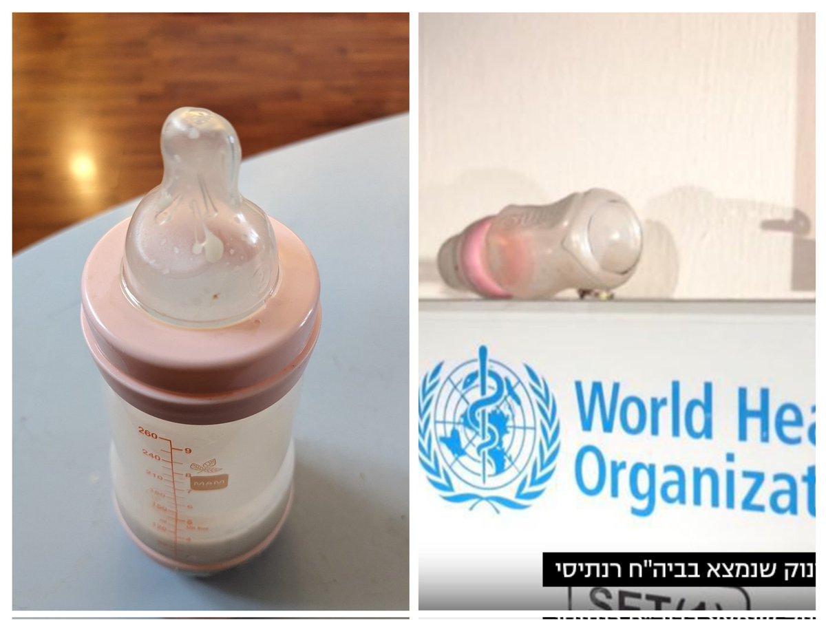 Noga Cohen tweet media