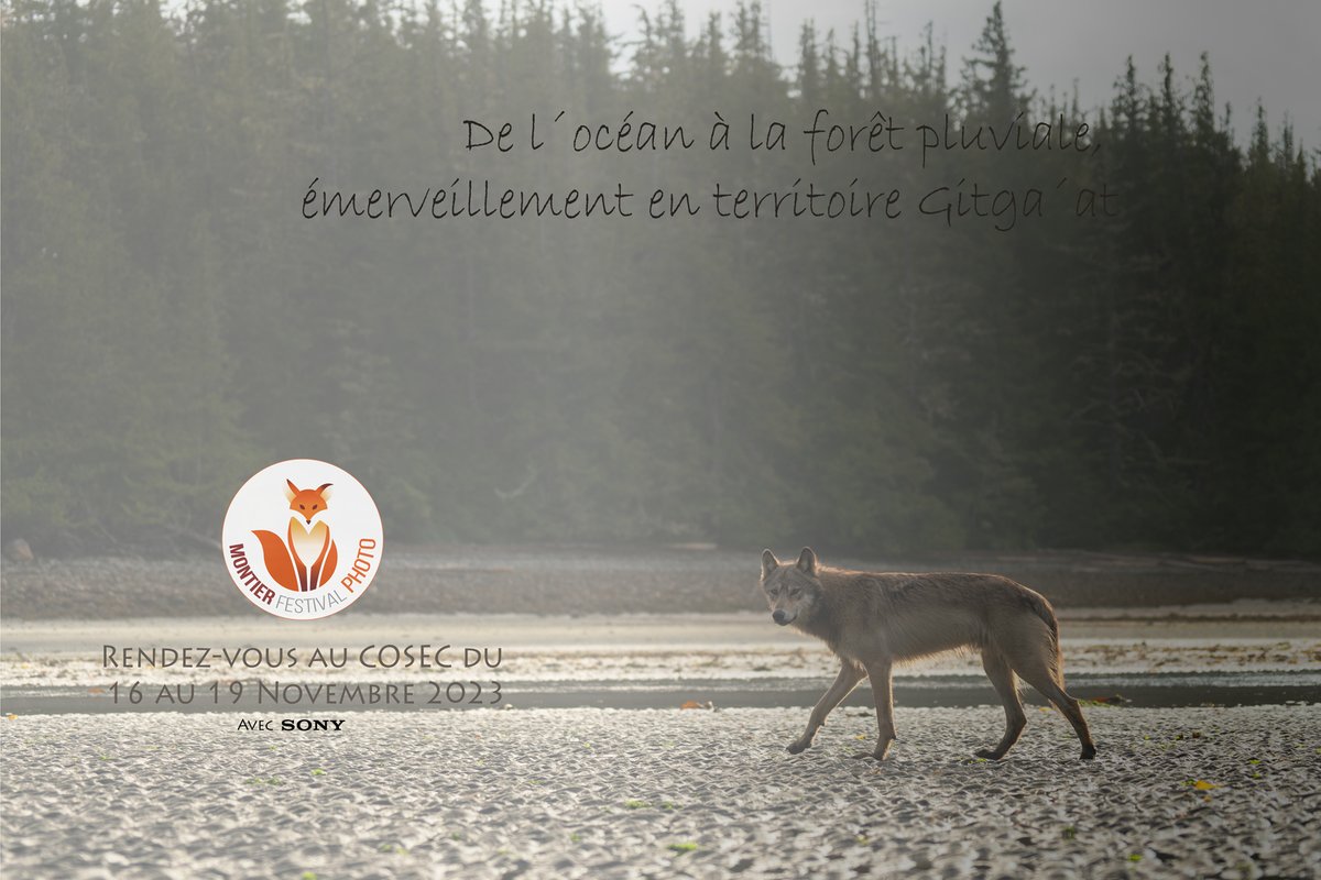 florent2nicolas's tweet photo. À très bientôt au @FestivalMontier. Invité pour cette 26ème édition, je vous présenterai une expo inédite. Je participerai également à de nombreux activités : conférences, table ronde, etc. À bientôt !
Avec @SonyFrance @SonyNordic @FestivalMontier https://t.co/k876n7DL0j