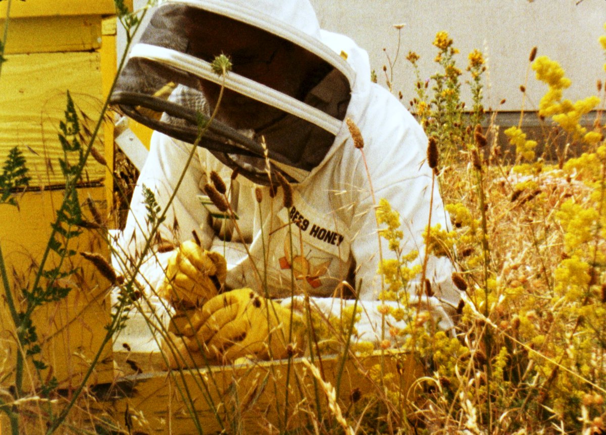 arcusproject's tweet image. アーカスプロジェクト2023 オープンスタジオ 1994年の事業開始から30年目を迎える今年度のアーティスト・イン・レジデンスプログラムのオープンスタジオ🫶  各プログラムの詳細・ご予約はこちらから： arcus-project.com/2023openstudios会期：11月23日（木祝）ー26日（日）13:00-18:00 会場：アーカススタジオ