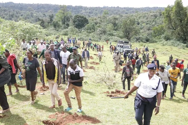 Green Arise Initiative (@green_arise) on Twitter photo Embracing the spirit of the National Tree Growing Day,we gathered with fellow stakeholders at Kimondi Forest,Nandi County, united by a shared vision of planting trees&contributing to the ambitious goal of 15B trees by 2032.<a href="/WilliamsRuto/">William Samoei Ruto, PhD</a> <a href="/HonMoses_Kuria/">Hon.Moses Kuria,HSC</a>
#NationalTreeGrowingDay Embracing the spirit of the National Tree Growing Day,we gathered with fellow stakeholders at Kimondi Forest,Nandi County, united by a shared vision of planting trees&contributing to the ambitious goal of 15B trees by 2032.<a href="/WilliamsRuto/">William Samoei Ruto, PhD</a> <a href="/HonMoses_Kuria/">Hon.Moses Kuria,HSC</a>
#NationalTreeGrowingDay